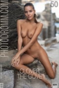 The Cove : Clover from Photodromm, 04 Nov 2019