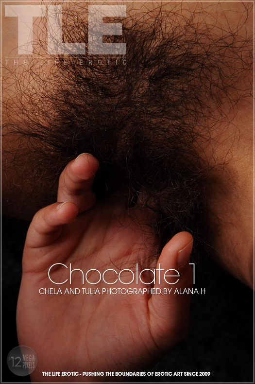 Chela, Tulia in Chocolate 1 photo 1 of 17