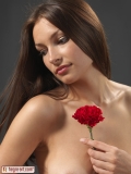 Elvira Red Carnation: Elvira #1 of 16