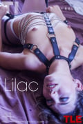 Lilac : Noelia from The Life Erotic, 27 Apr 2017