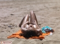Stasha Nudist Beach: Stasha #6 of 16